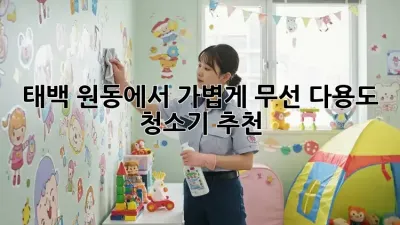 태백 원동에서 가볍게! 무선 다용도 청소기 추천