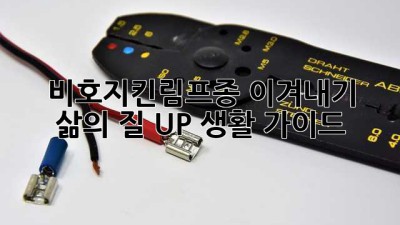 비호지킨림프종 이겨내기💪 삶의 질 UP 생활 가이드 🍀
